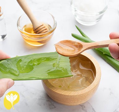 Aloe Verann Cilde Faydalar Nelerdir?  Flavus