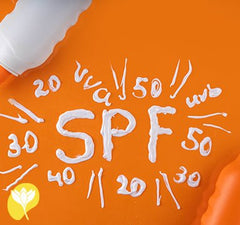Güneş Kremi: Cildinizi Nasıl Korur ve Cilt Tipinize Göre En İyi Seçim Rehberi görsel