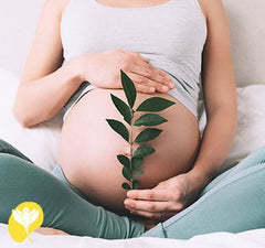 Hamilelikte Çatlaklar Nasıl Önlenir? görsel