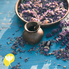 Lavanta Yağının Faydaları ve Kullanımı görsel