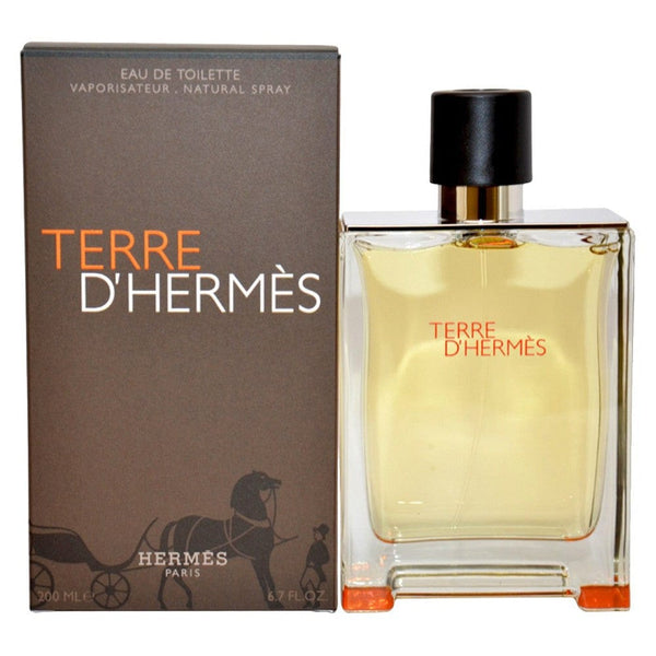 Hermes Terre Erkek Edt200Ml