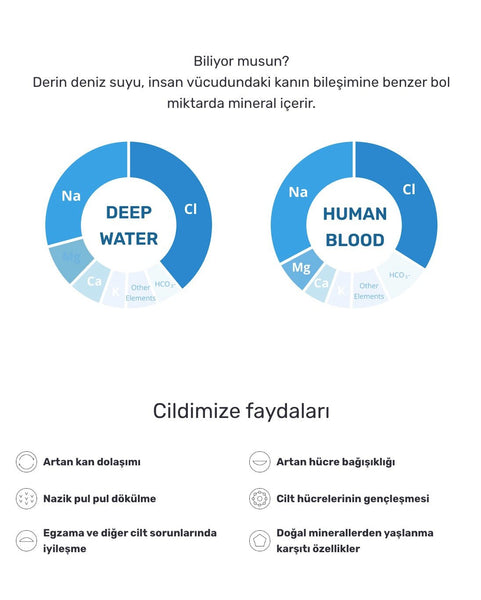 Round Lab - 1025 Dokdo Cleansing Oil (Geniş Gözenek ve Siyah Nokta Karşıtı Mineralli Hafif Temizleme Yağı) 200ml