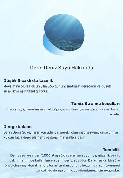 Round Lab - 1025 Dokdo Toner (Yoğun Nemlendirici ve Leke Karşıtı Ödüllü Deniz Suyu Toniği) 200ml