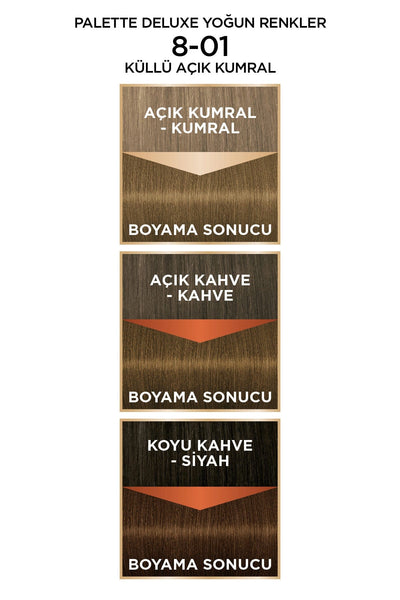 Palette Deluxe Yoğun Renkler 8-01 Küllü Açık Kumral